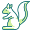 Squirrel icon 64x64
