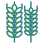 Wheat icon 64x64