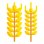 Wheat icon 64x64