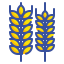 Wheat icon 64x64