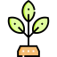 Sprout icon 64x64