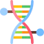 Dna icon 64x64