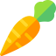 Carrot icon 64x64
