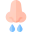 Nose icon 64x64