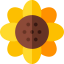 Pollen icon 64x64