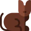 Cat icon 64x64