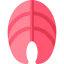 Salmon icon 64x64