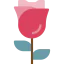 Rose biểu tượng 64x64
