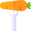 Carrot icône 64x64
