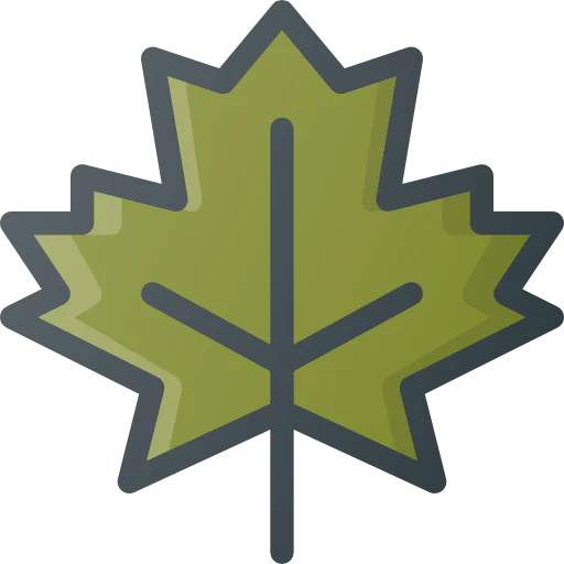 Maple leaf icon