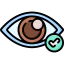Eye test icon 64x64