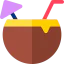 Coconut icon 64x64