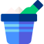 Champagne icon 64x64
