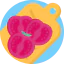 Tomato 图标 64x64