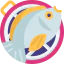 Fish 图标 64x64