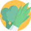 Vegetable 图标 64x64