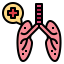 Lung ícono 64x64