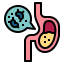 Stomach icon 64x64