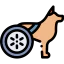 Animal アイコン 64x64