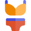 Bikini 图标 64x64