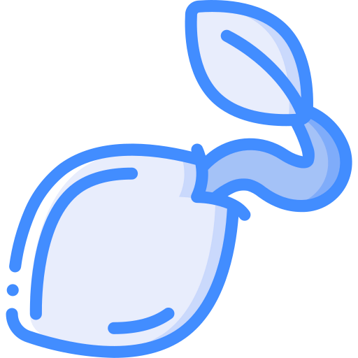 Seed icon