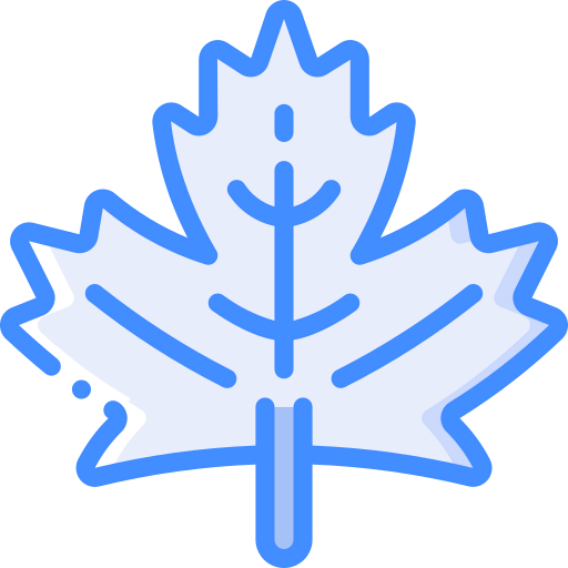 Maple leaf icon