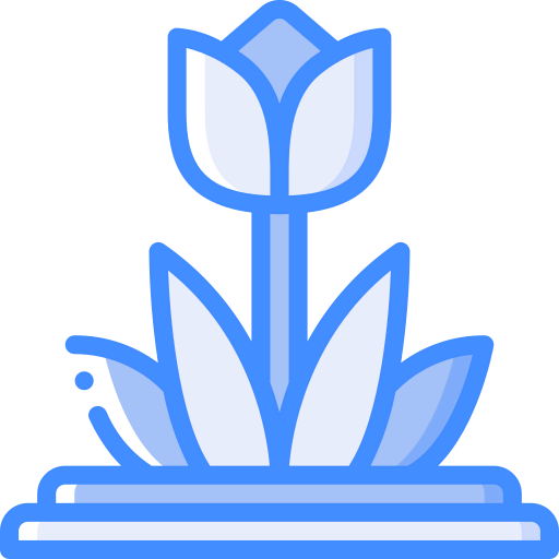 Tulip іконка