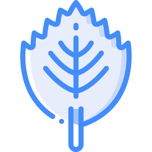 Leaf icon