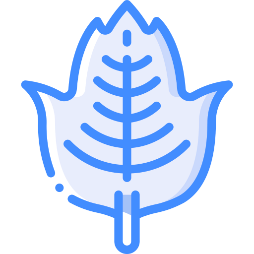 Leaf icon
