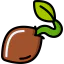 Seed アイコン 64x64