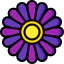Daisy アイコン 64x64