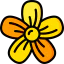 Blossom icône 64x64