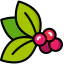 Berries アイコン 64x64