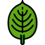 Leaf アイコン 64x64