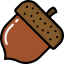 Acorn アイコン 64x64