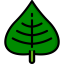 Leaf アイコン 64x64