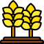 Wheat アイコン 64x64