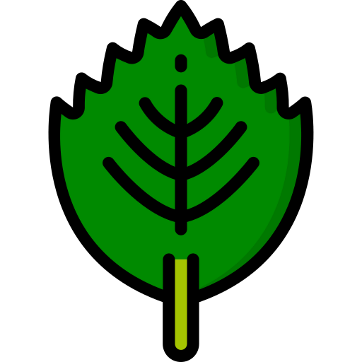 Leaf icon