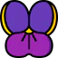 Viola icône 64x64