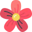 Blossom icon 64x64