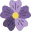 Flower icon 64x64