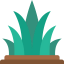 Grass ícone 64x64