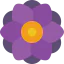 Flower icon 64x64