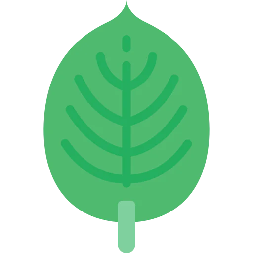 Leaf Symbol