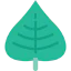 Leaf icon 64x64