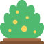 Bush icon 64x64