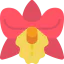 Orchid icon 64x64