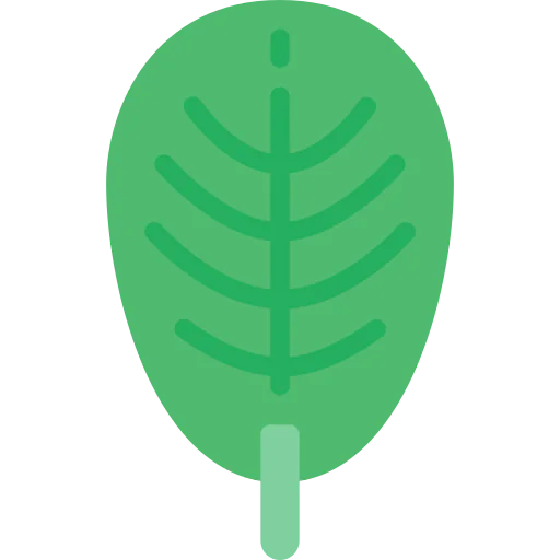 Leaf icon