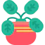Plant 图标 64x64
