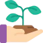 Plant 图标 64x64